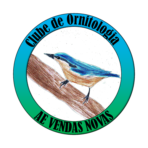 Clube de Ornitologia